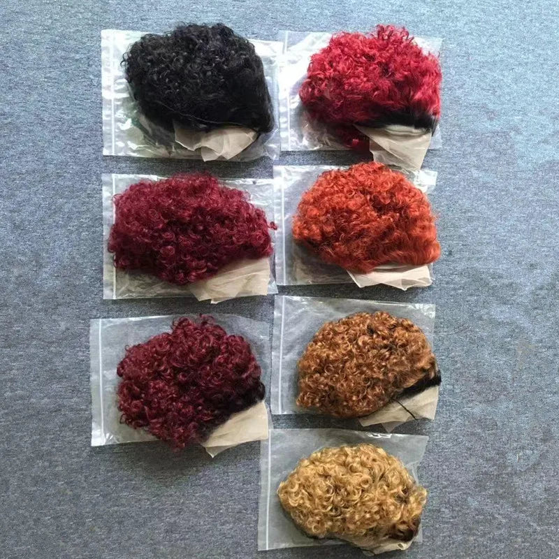 Short Pixie Cut Curly Lace Front Wigs for Black Women Human Hair Wigs Pixie Curls Closure Wig Tpart Cuticle Aligned Hair